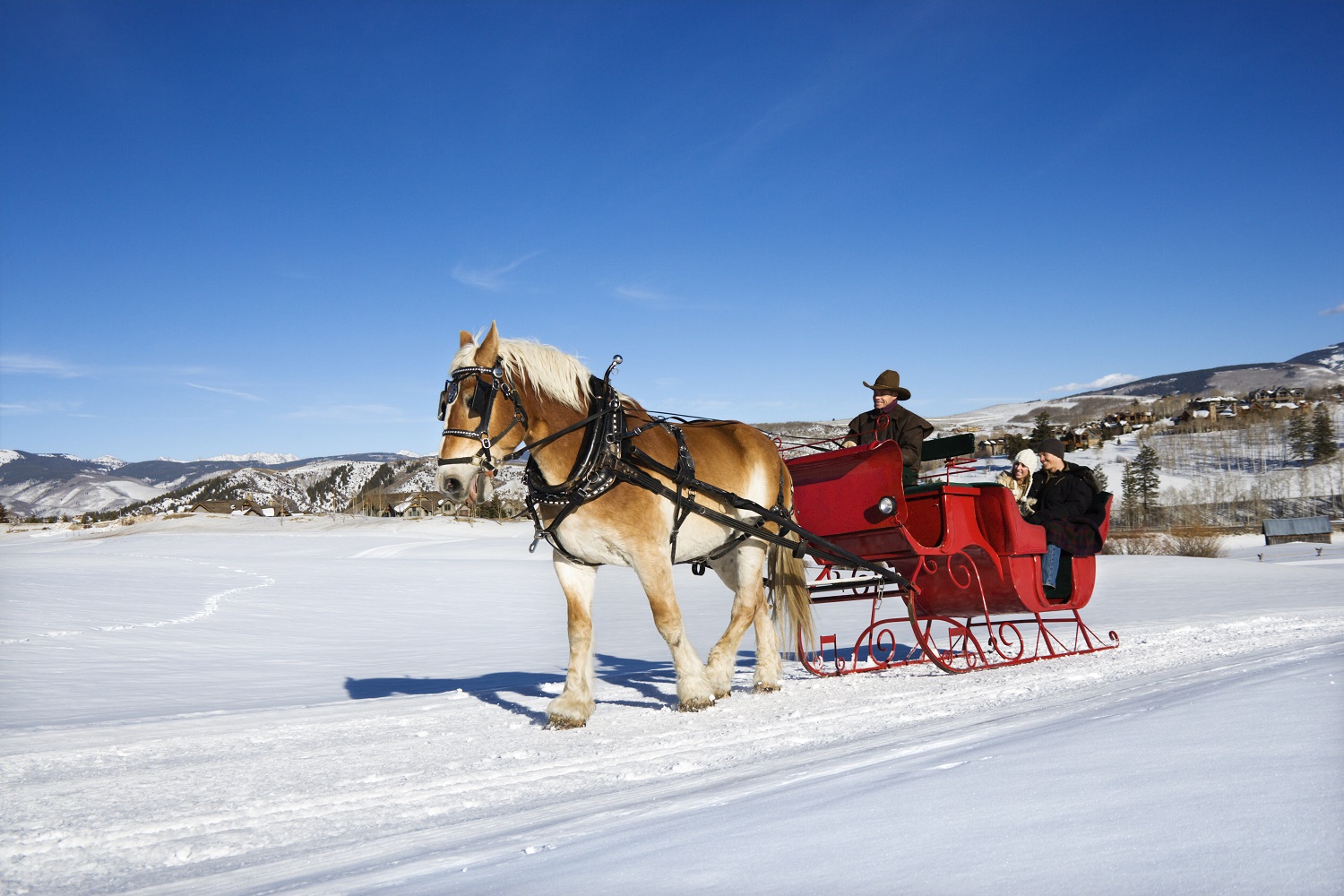 7 of the best sleigh rides in America