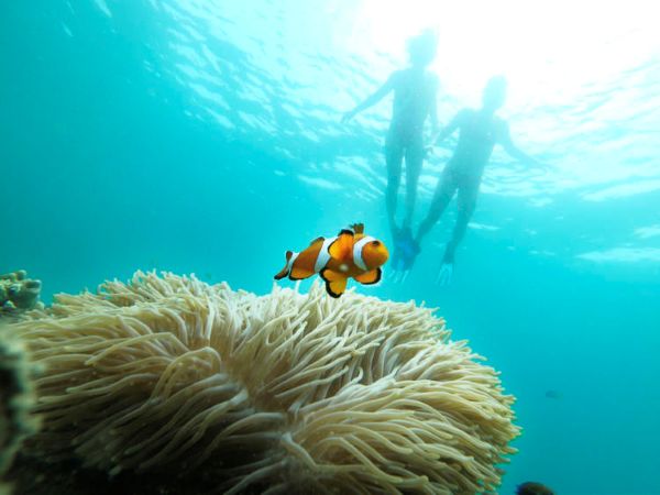 Phuket_Thailand_Khao_Lak_snorkeling_excursion