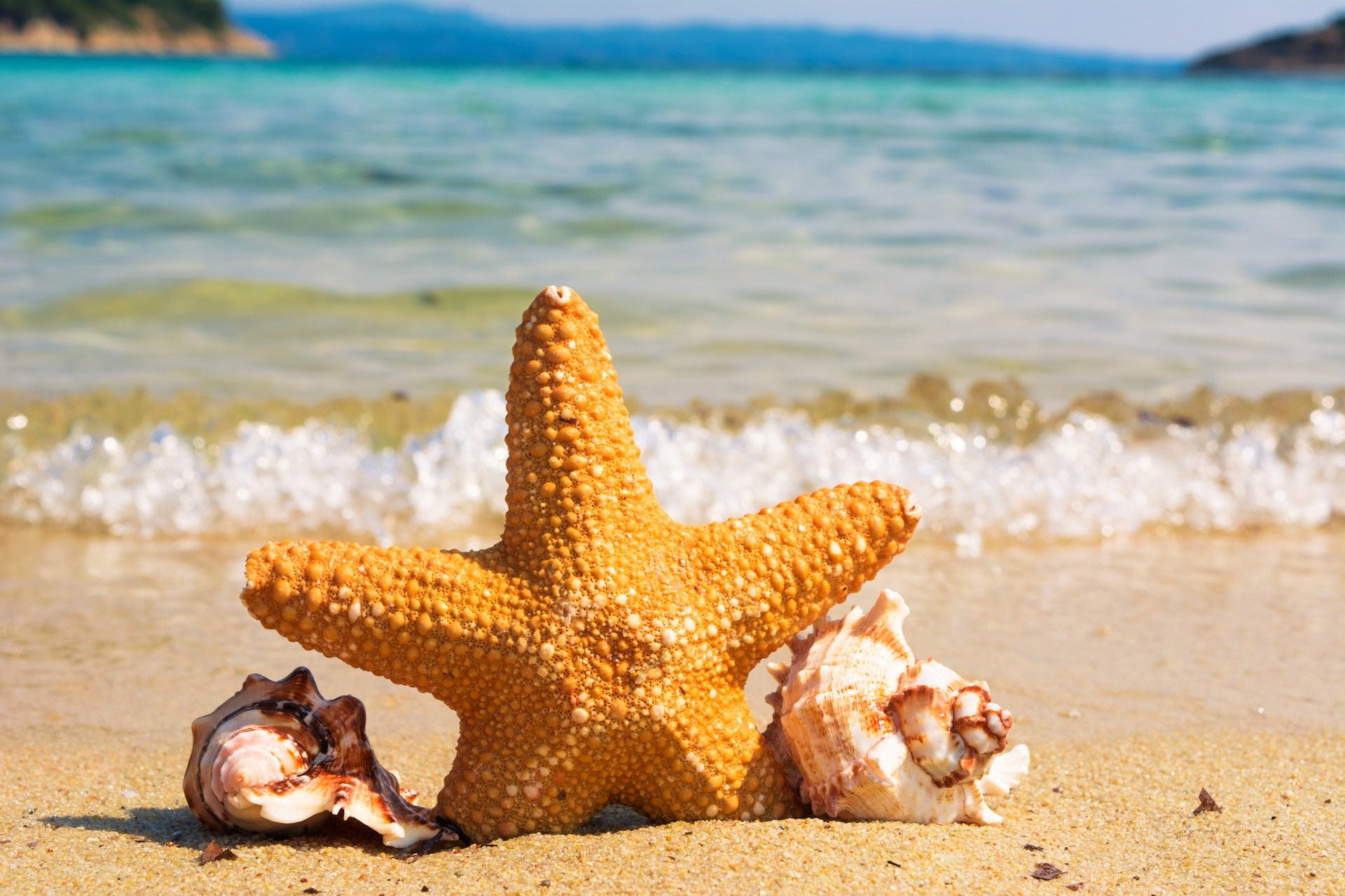 beaches in the United States