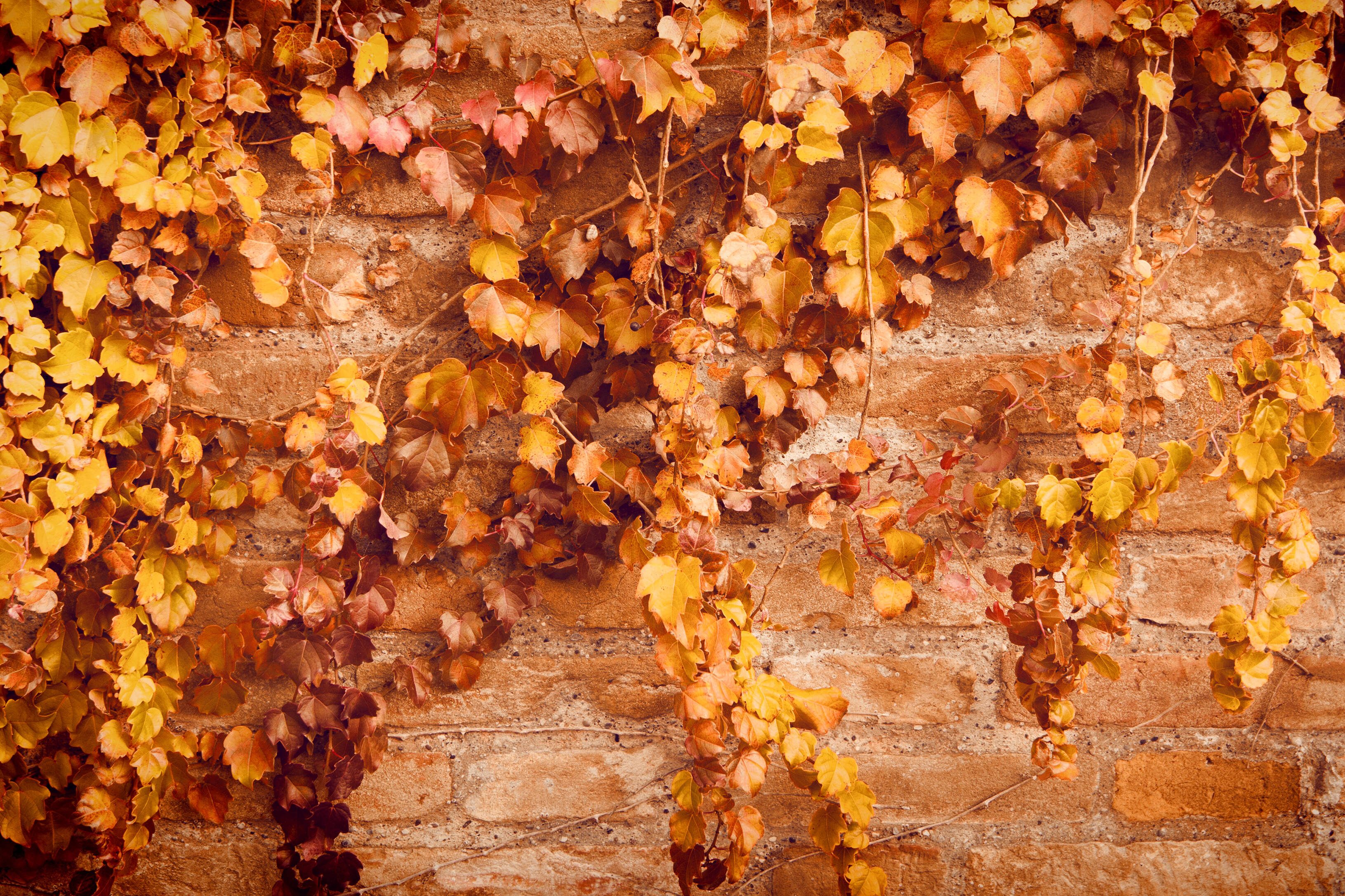 15 places around the world with stunning fall foliage