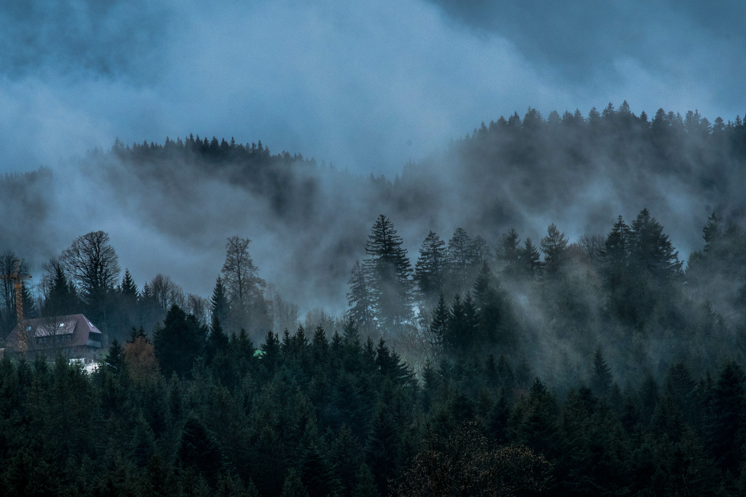 Haunted forests