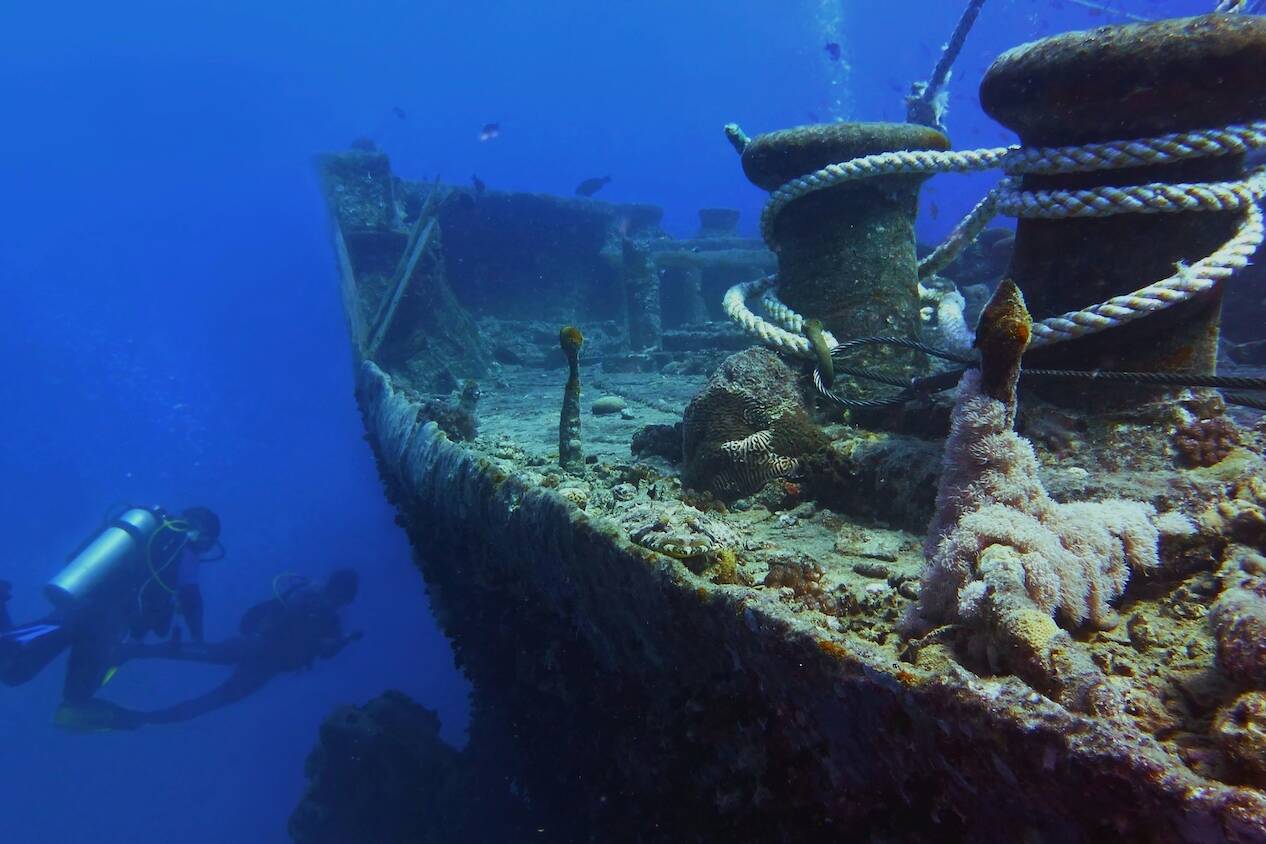 Dive sites around the world Musement