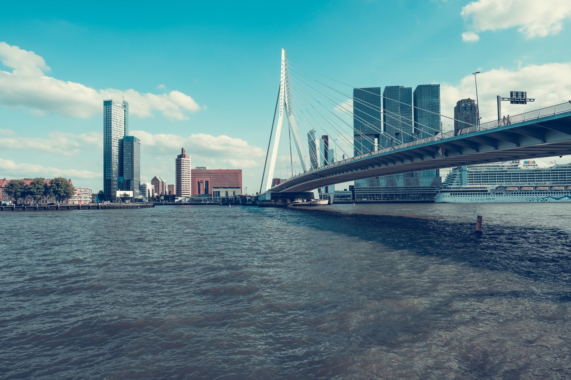 erasmusbrug skyline rotterdam