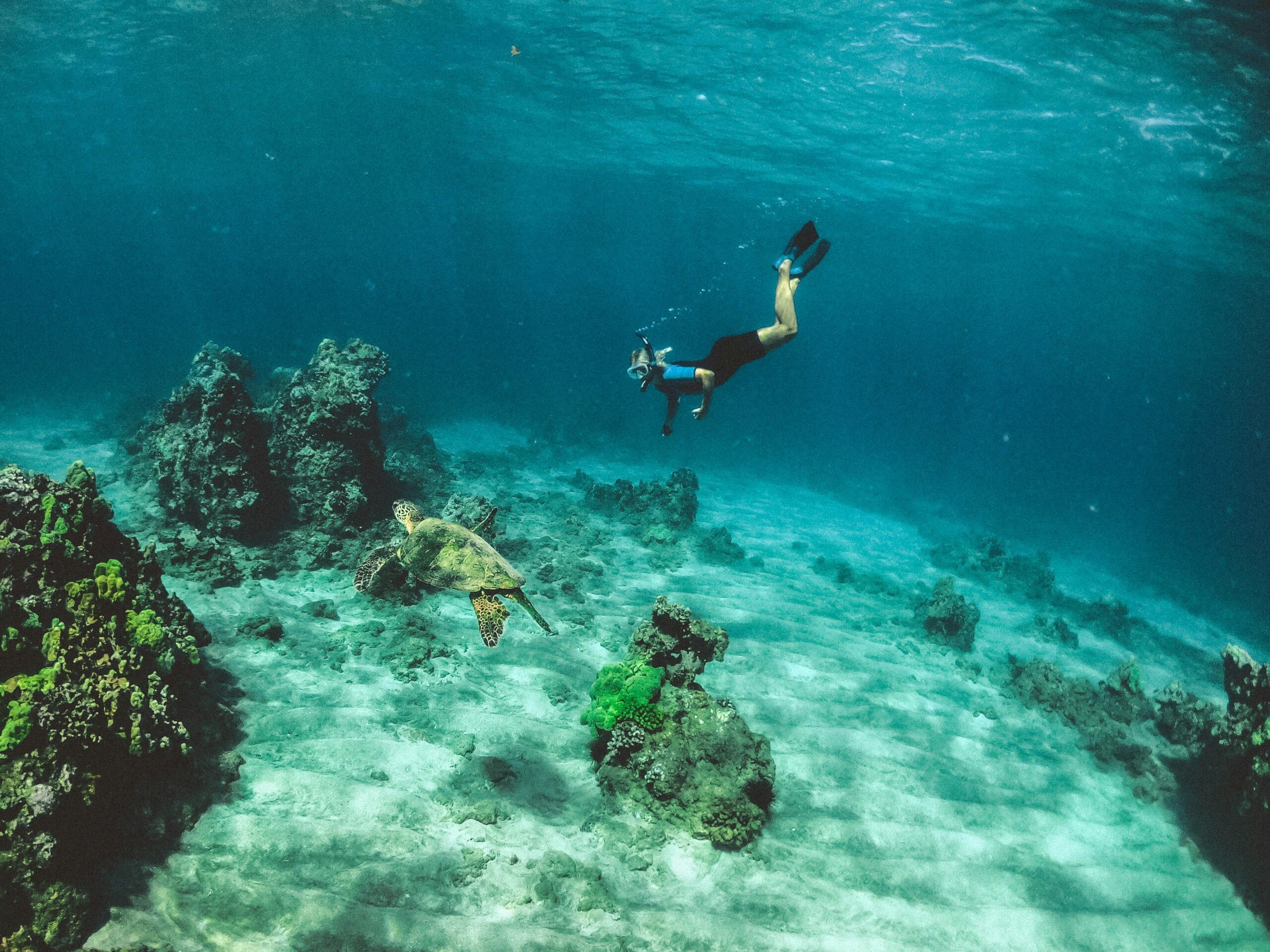 best snorkelling destinations